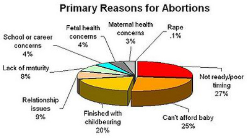 abortion abortions should reasons pro primary issue abort suicide choice vs woman why reason chart issues pie cause against most